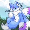 furry_shihu