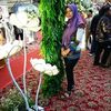 desi.damayanti285