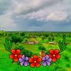 muhammad.ayooub8