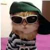 portulabyou