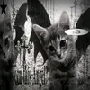 miranhazzk666