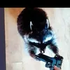 mr.raccoon01