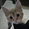 amina.ali_1