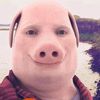 johnporkharry
