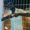 user8876769790313