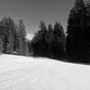 daphne_k0751