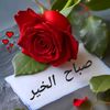 aryaan.mudasir