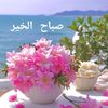 nournour59288