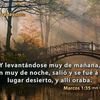 maracordova88