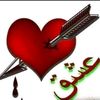 ashiqali8576