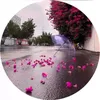 user4621261332669