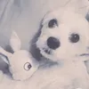rogy0_0