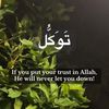 sayedmohammadsadat4