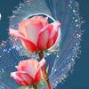 user31977772800320