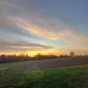 arabarin_12