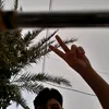 5j5j7l