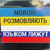 вікльоша