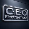ELECTRO_MUSK🚀🇰🇷