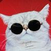 purrfectlypawsom