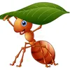 Nemla نملة 🐜