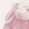 amo_miojo6