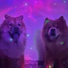 lukeeharu.chows