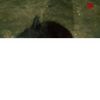 00_adrian00