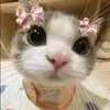 hana_mi918