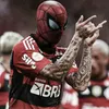 ruanallefaraujo