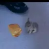 spacebunro