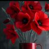 jane._jane3