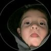 padolmo_