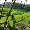 Matahari_Pagi☀️