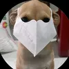 gthien_210