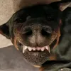 ooaoaoaoaooa