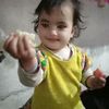 adan55444
