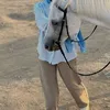 fatima_2007a1