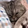 deobiet_58