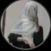 naz_gull221