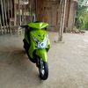miggreen