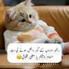 user323060998