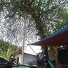 pandi.putra97