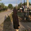 bilove_127