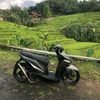 isall_exty