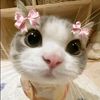 sellyanndya