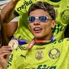 aqui.palmeiras.po