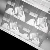 hccandgv