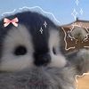 cutes70_cute