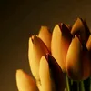tinghirino6