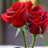 rs.shakil.raj2